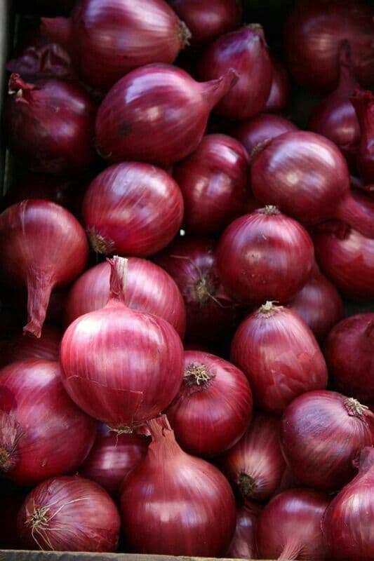 Essential Vegetables